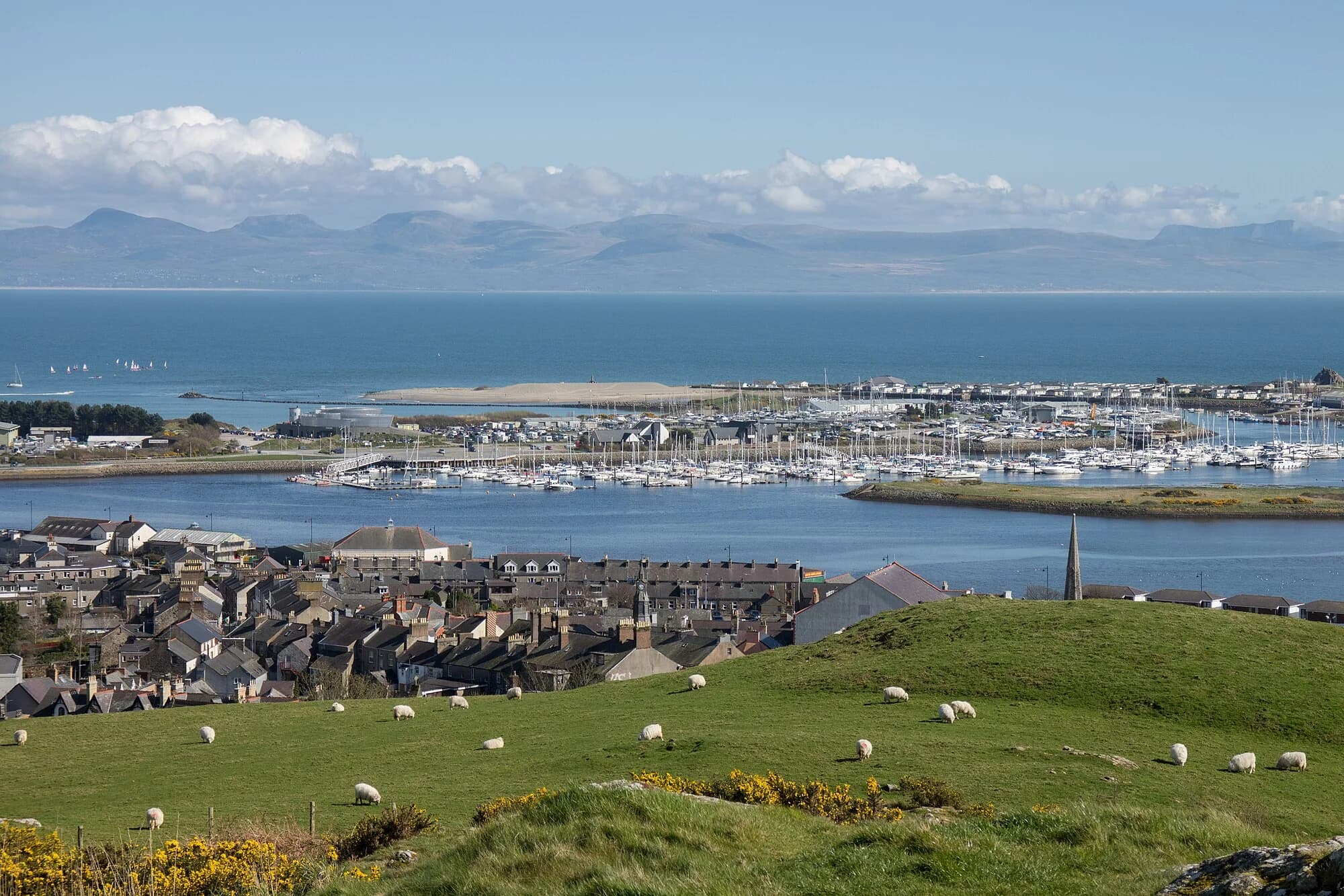 Vets in Pwllheli