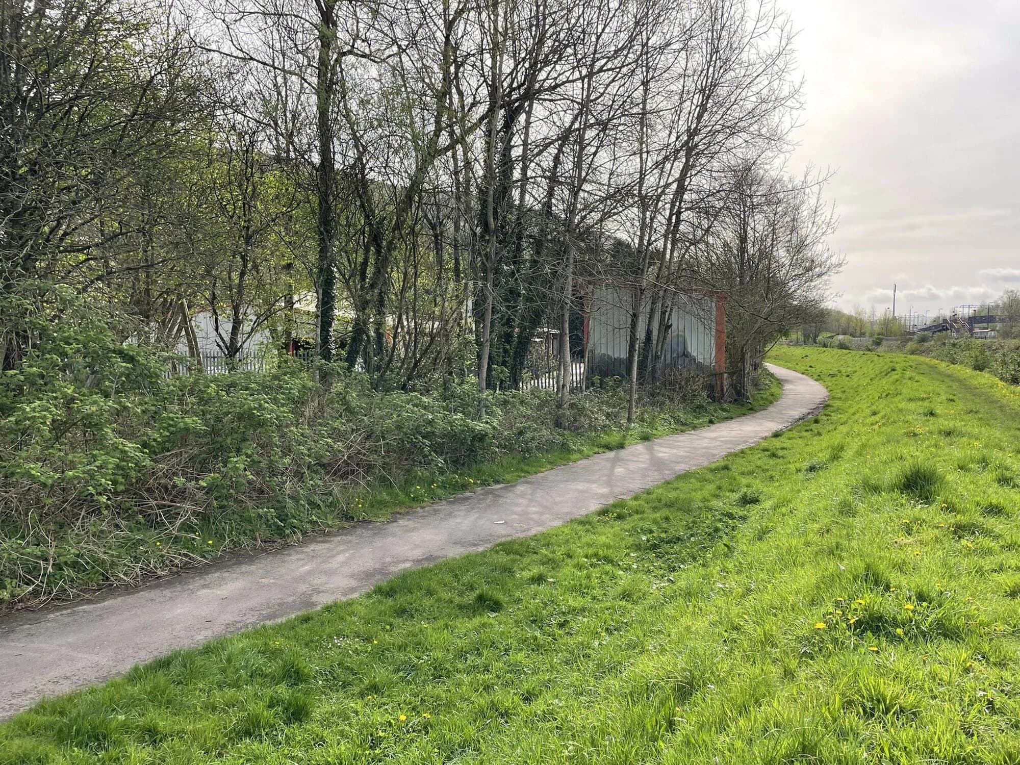 Vets in Mountain Ash